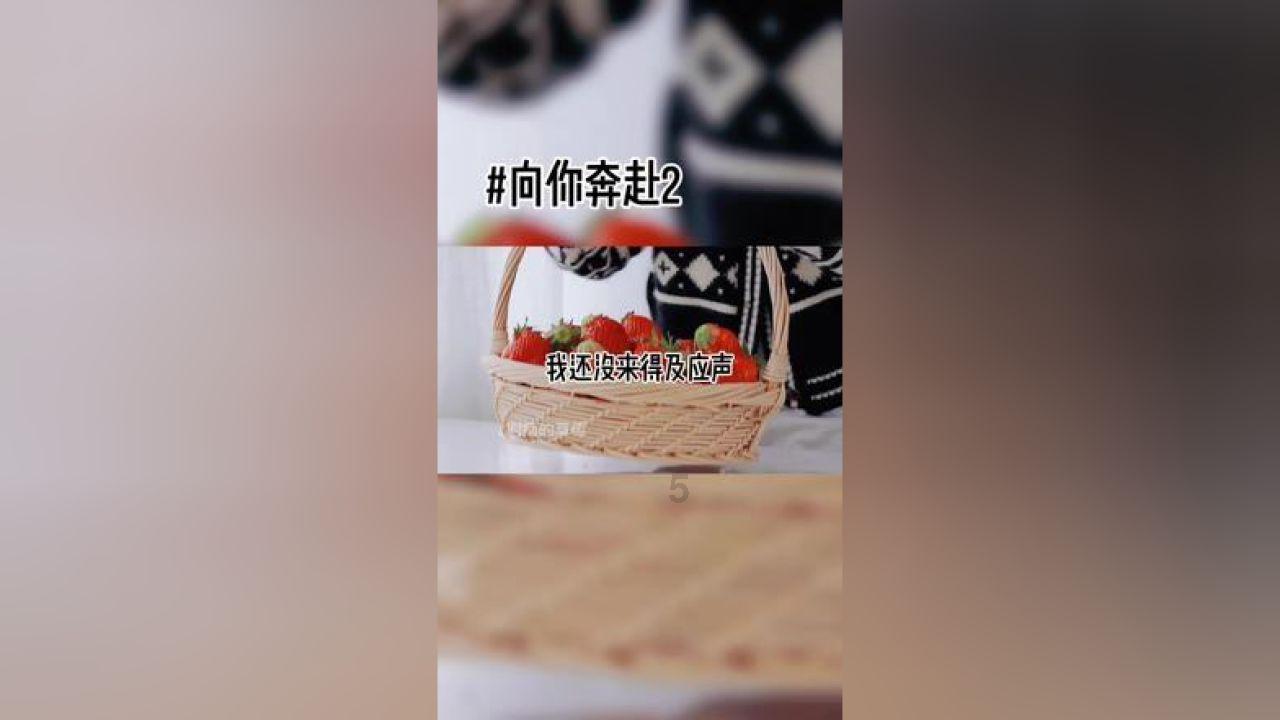 新熊出没找不同