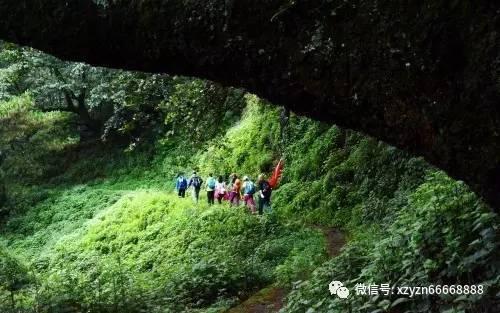 咖啡厅找不同