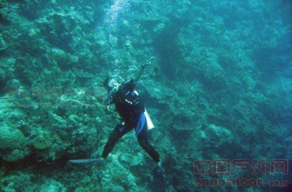 致敬!现役飞行员刘金辉荣立二等功,“军嫂”在咱农商银行