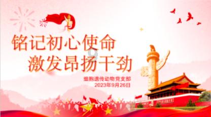 脑洞小老弟无实名认证